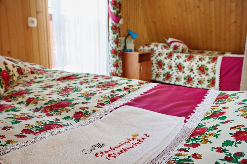 villa Zakopane chambres hébergement montagnes Tatras reste en Pologne