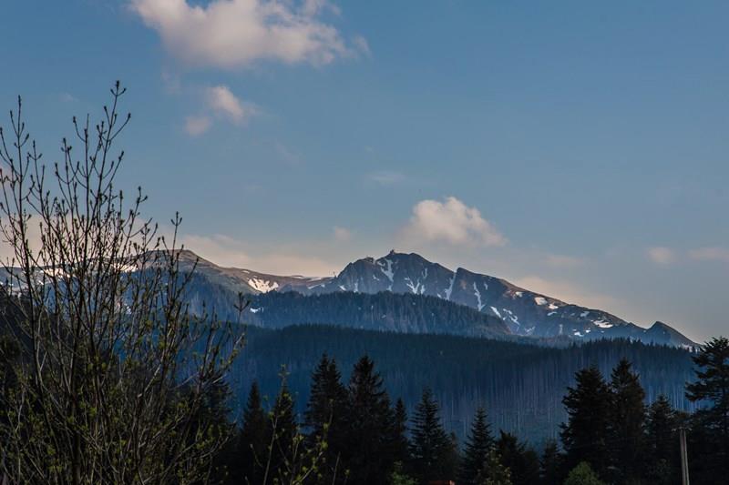 villa Zakopane chambres hébergement montagnes Tatras reste en Pologne