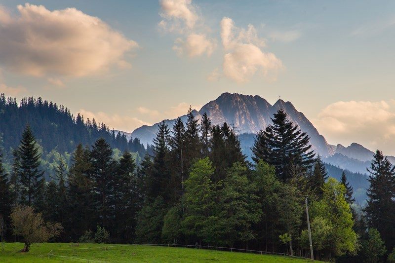 villa Zakopane chambres hébergement montagnes Tatras reste en Pologne